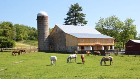 Ryerss Farm in Warwick Township