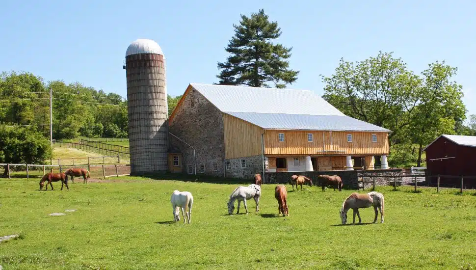 Ryerss Farm in Warwick Township