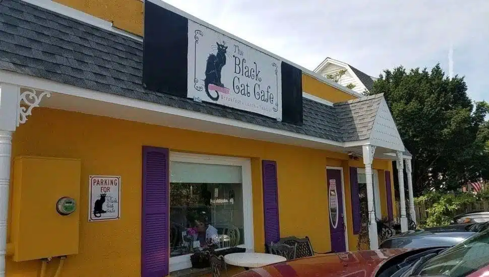 The Black Cat Cafe