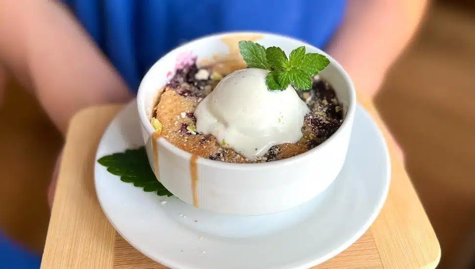blueberry cobbler