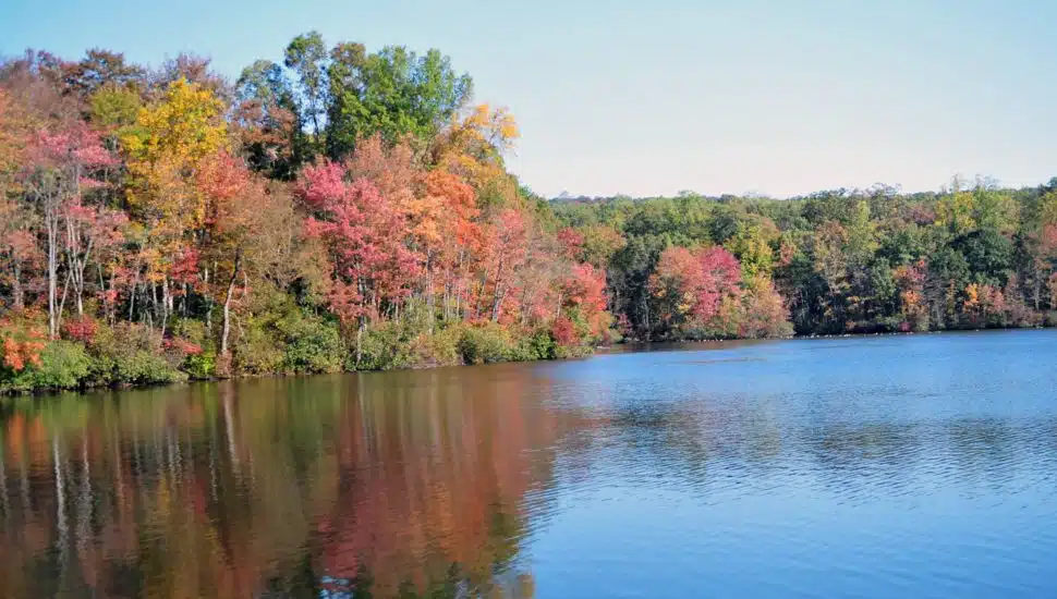 French Creek State Park lake