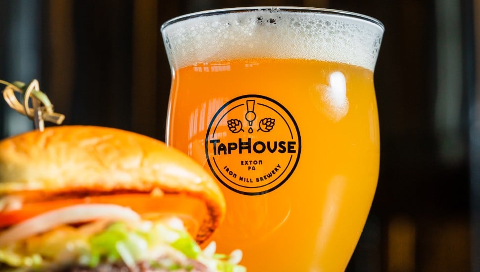 Iron Hill Brewery Taphouse sandwich and beer