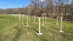 New Garden Hills planting project stakes