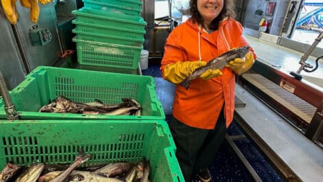 Laura Guertin, distinguished professor of Earth science at Penn State Brandywine, holds a walleye pollock, as part of her time aboard a research ship in the Gulf of Alaska assessing the walleye pollock population.