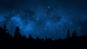 night sky full of stars
