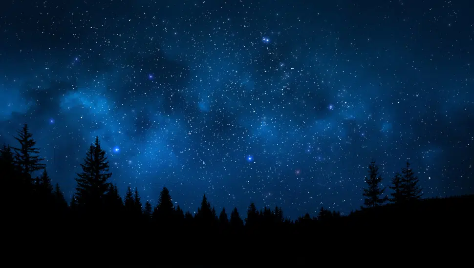 night sky full of stars