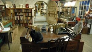 Interior Baldwin's Book barn