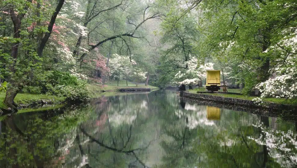 Brandywine River