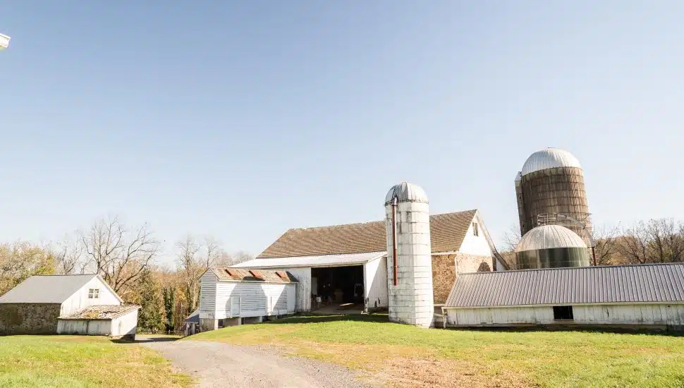 Lundale Farm
