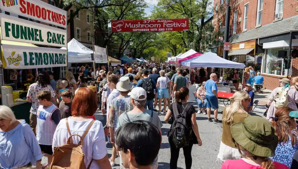 people walking through the streets of the Mushroom Festival Kennett Square