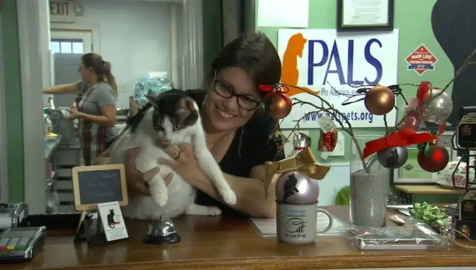 lady holding a cat on the counter of The Black Cat Cafe