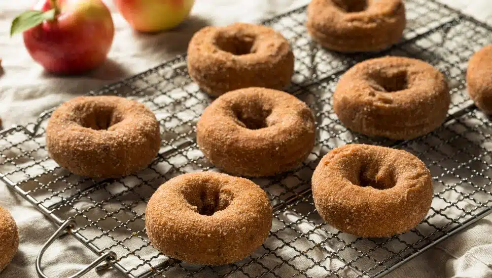 apple cider donuts