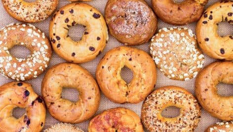Assorted variety of different flavored freshly baked bagels