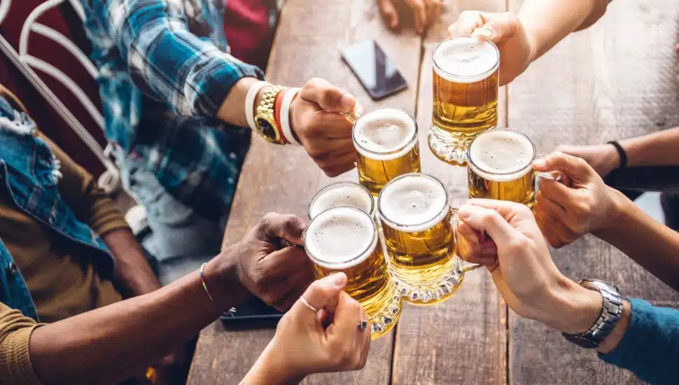 Group of people enjoying and toasting a beer