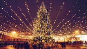 yuletide festival chirstmas tree, holiday lights