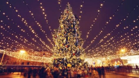 yuletide festival chirstmas tree, holiday lights