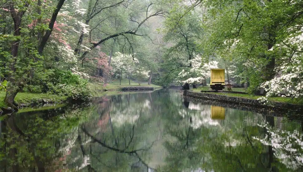 Brandywine Creek