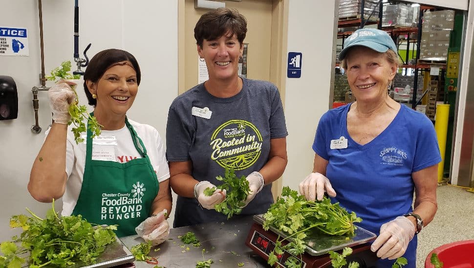 CCFB volunteers