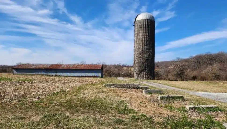 fields at Lionville Station Farm