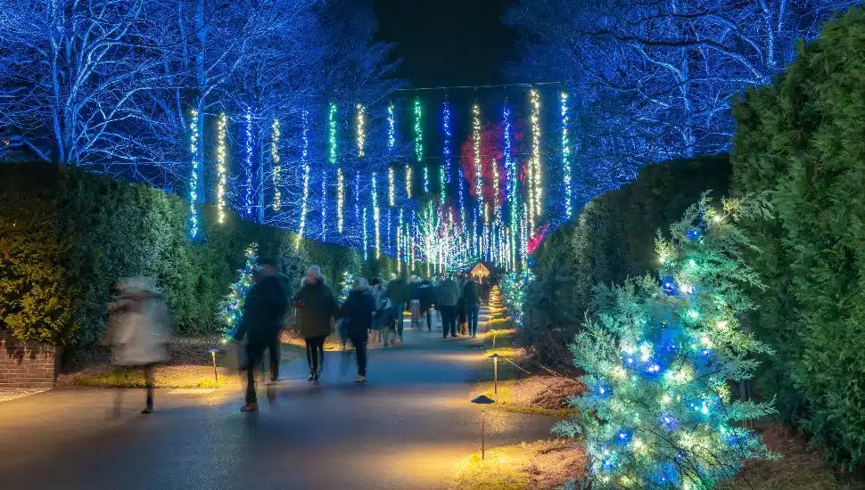 Longwood Gardens outdoors Christmas Installation