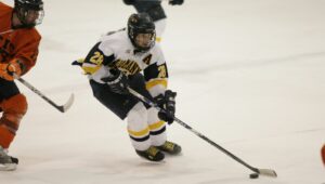 Mike Hedden in action on the ice during an ice hockey game