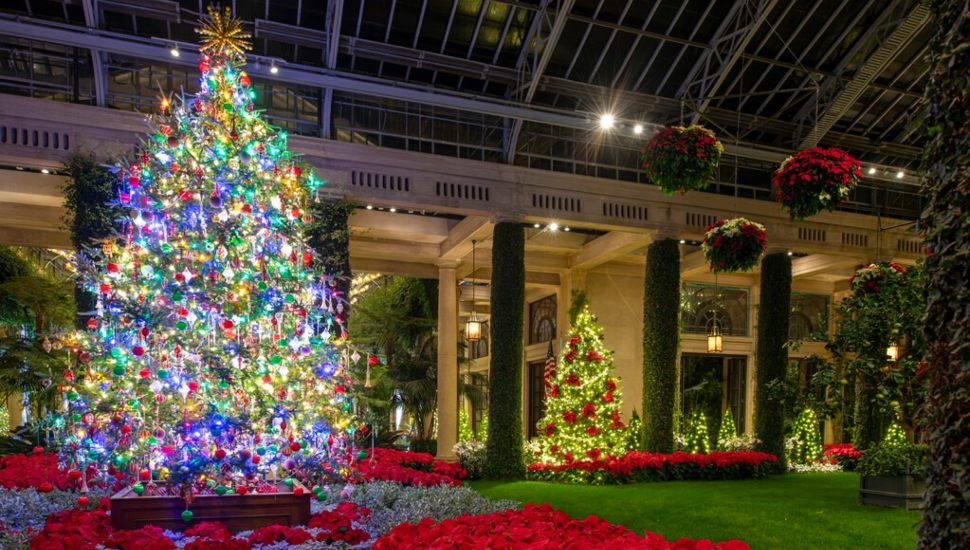 A Longwood Christmas tree and lights