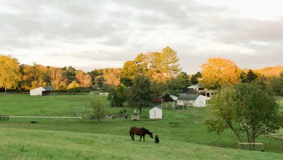 person with horse in field at Gateway Horseworks