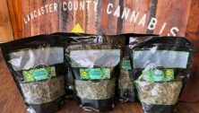 Lancaster County Cannabis