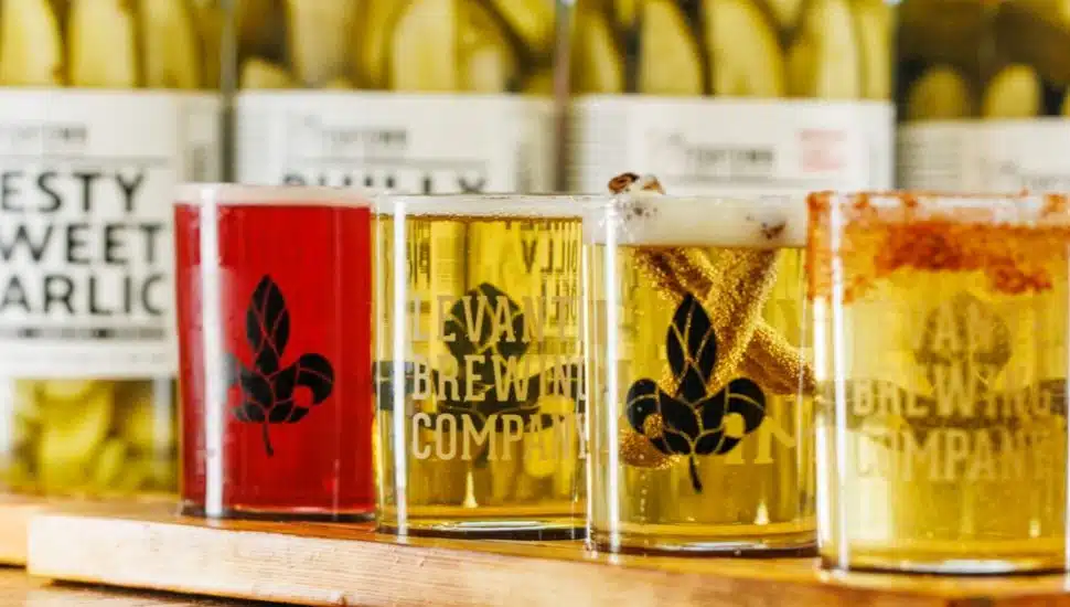 glasses Philly Dilly pickle beers