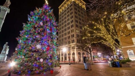 Lancaster City Christmas Tree