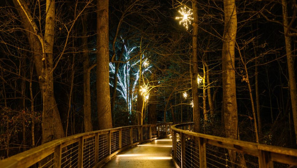 bridge and lights and trees at Longwood Gardens