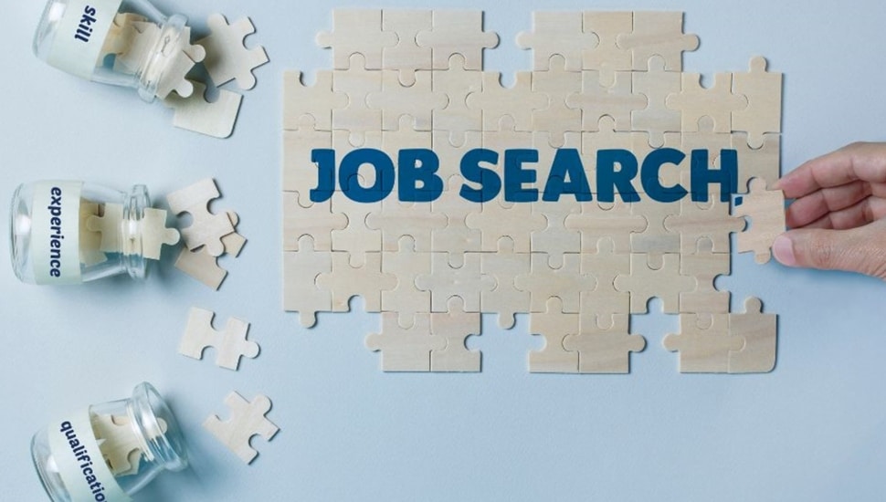 job search
