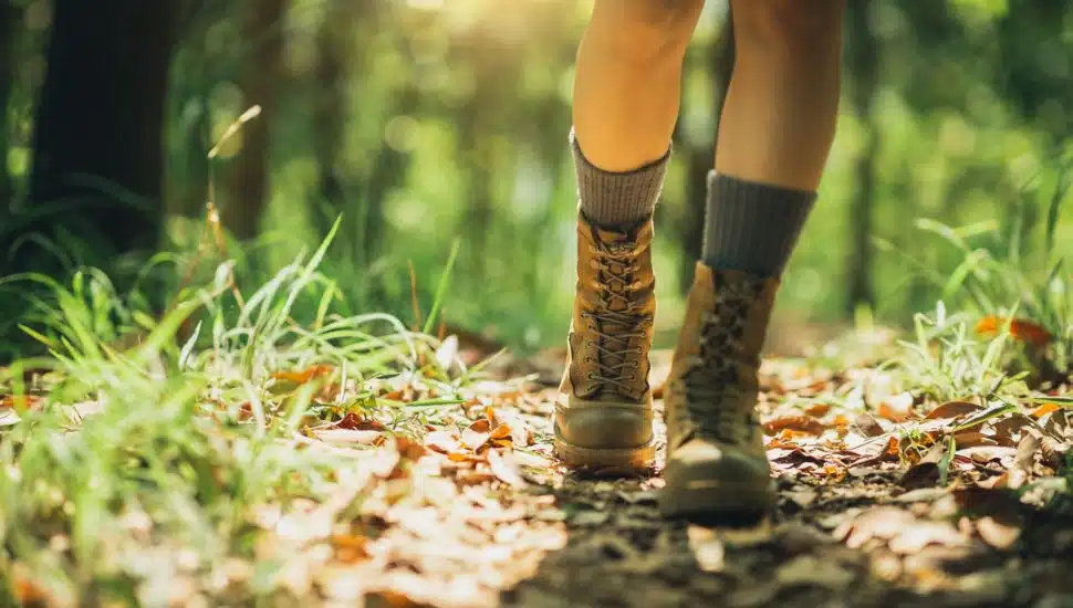 Woman hiker hiking on forest trail