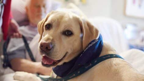 Picture of a dog by a man in the hospital.