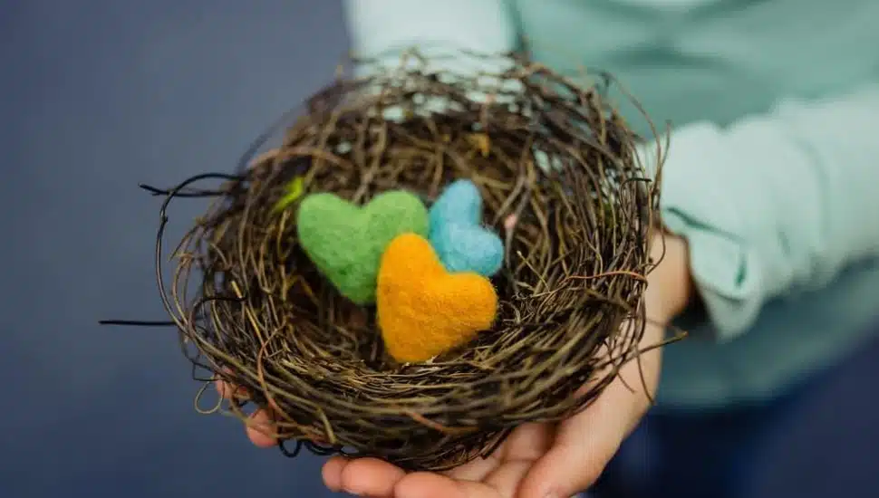 Hand holding nest with hearts in it
