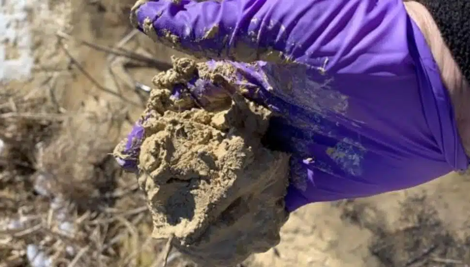 Marsh creek mud