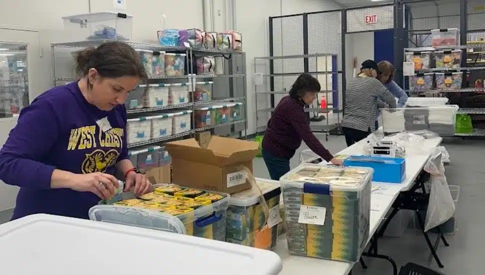 PIO volunteers