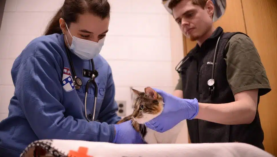 Penn Vet students with cat