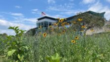 Pennsylvania Turnpike’s Pollinator Habitat Pilot Project
