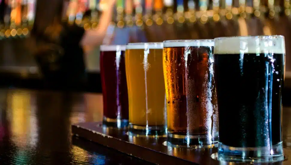 beer