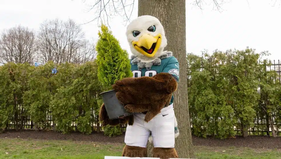 eagles macot