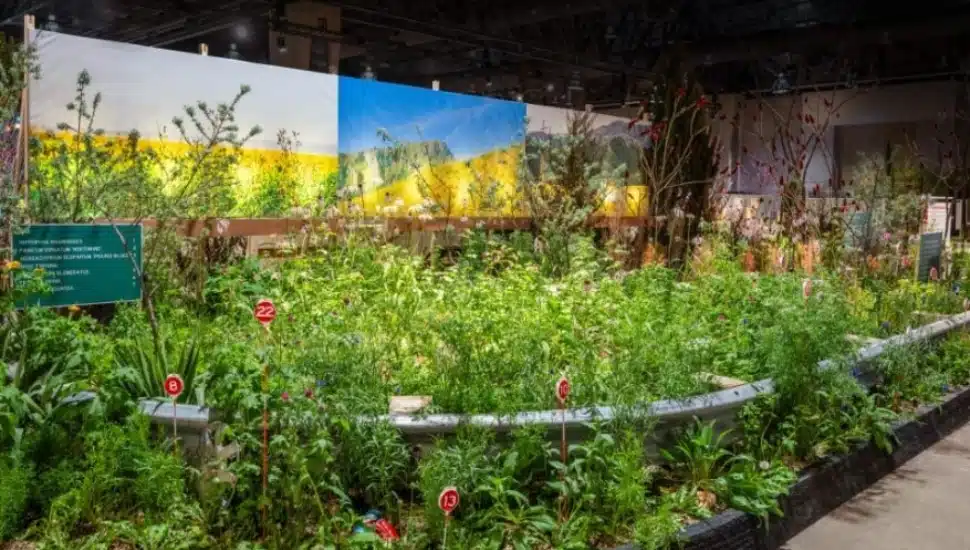 Apiary Studios plants