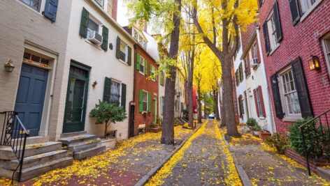 Autumn alleyway in a traditional neighborhood in Philadelphia