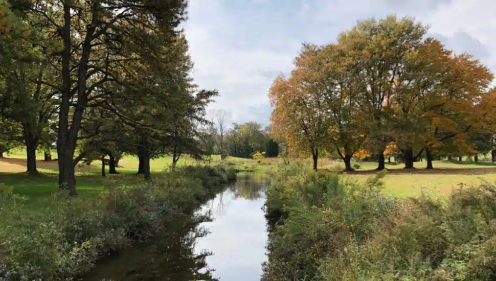 Smedley Preserve