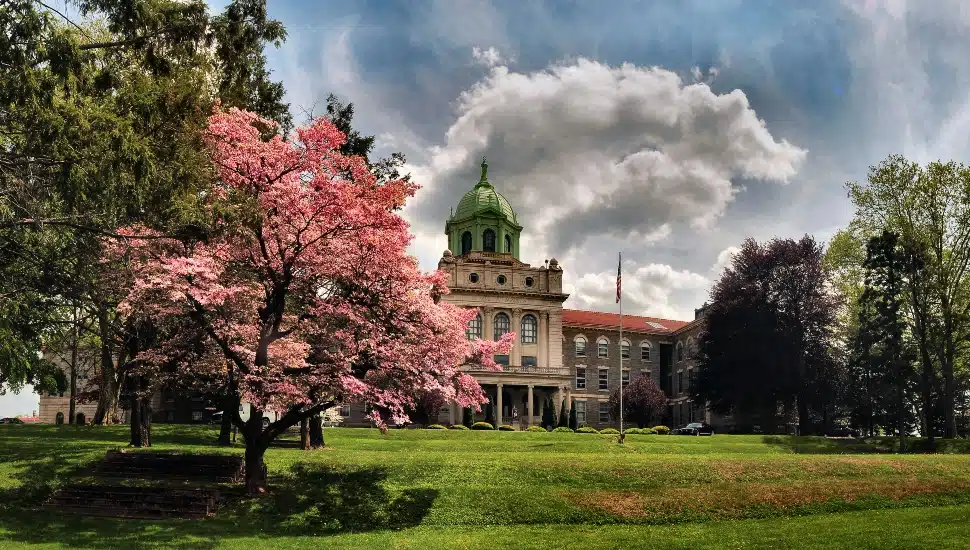 Immaculata University and Moravian University Partner To Provide Discounted Graduate Pathways for Music Therapy Majors