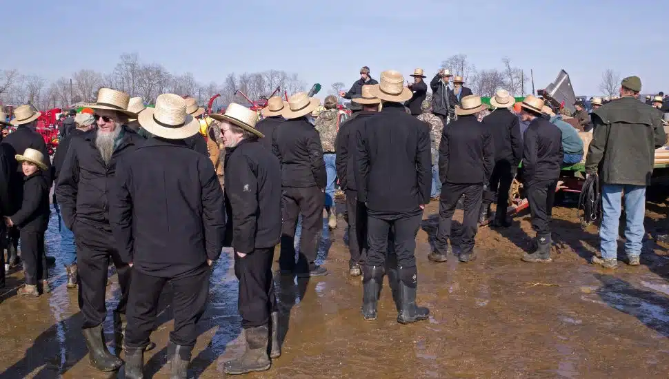 amish at mud sales