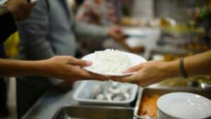 Hands holding plate of rice