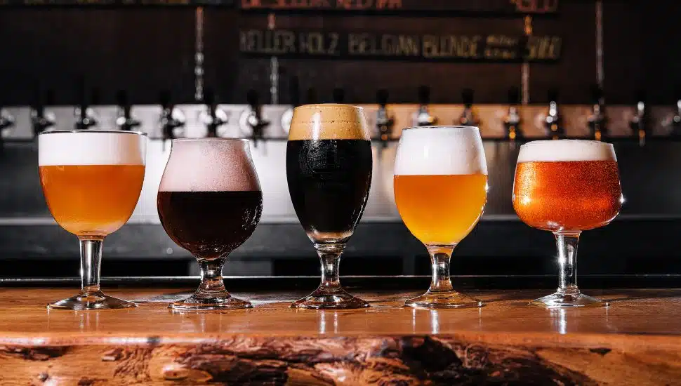 different types of craft beer in glasses on table in pub