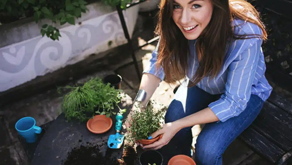 Young woman planting herbs.