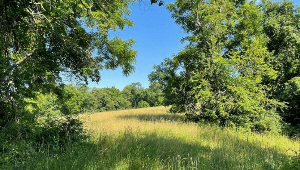 Big Elk Creek State Park fields